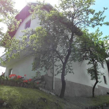 Pr' Hribar Apartment Zgornje Gorje Bagian luar foto