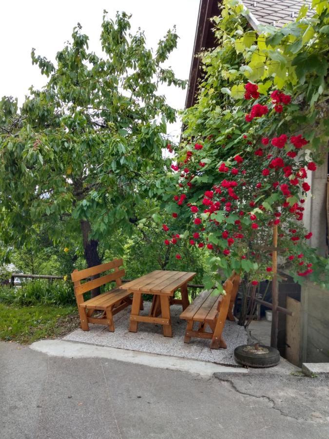 Pr' Hribar Apartment Zgornje Gorje Bagian luar foto