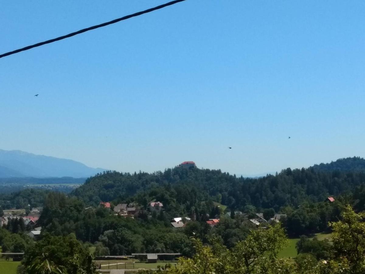 Pr' Hribar Apartment Zgornje Gorje Bagian luar foto