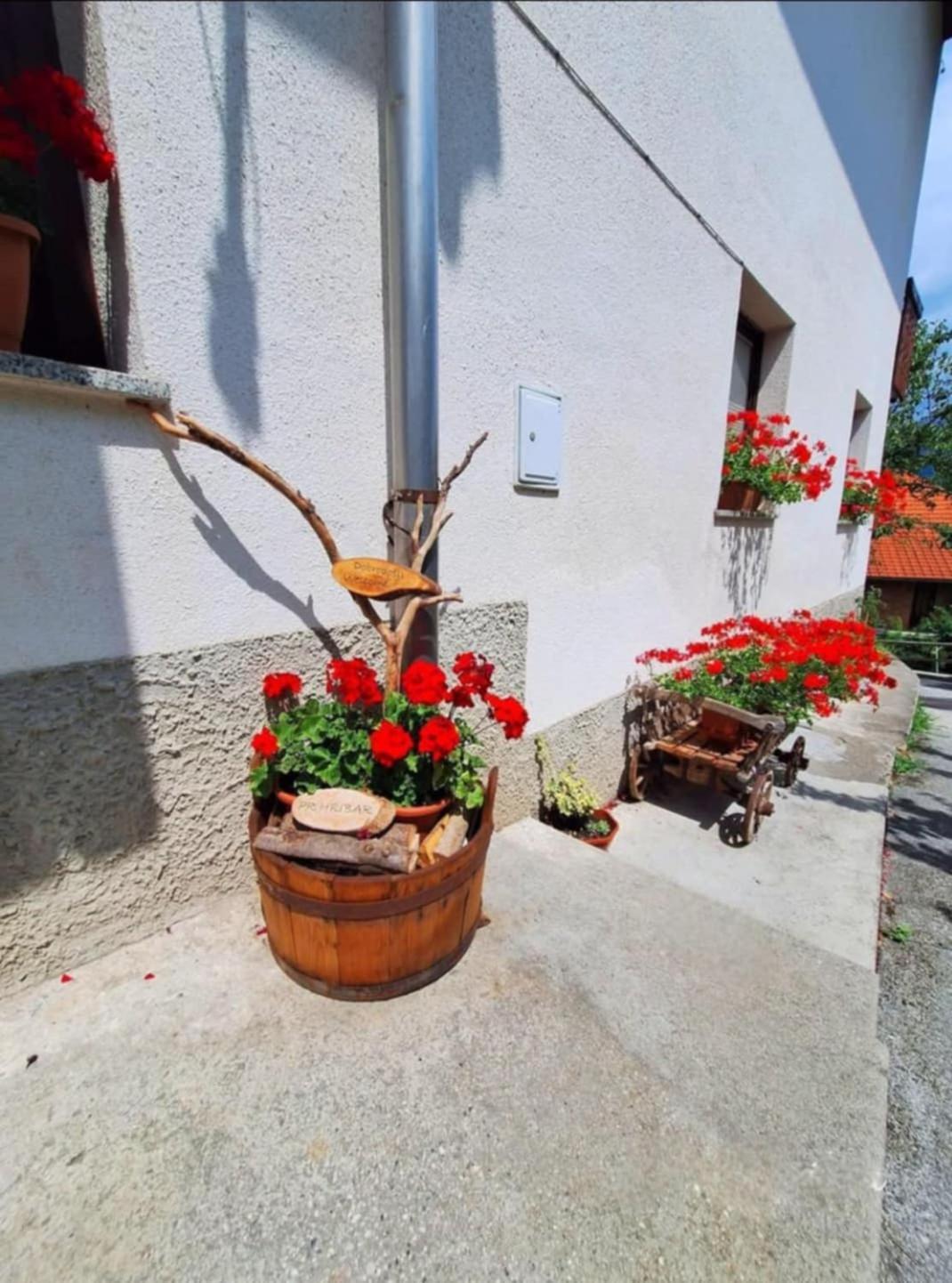 Pr' Hribar Apartment Zgornje Gorje Bagian luar foto