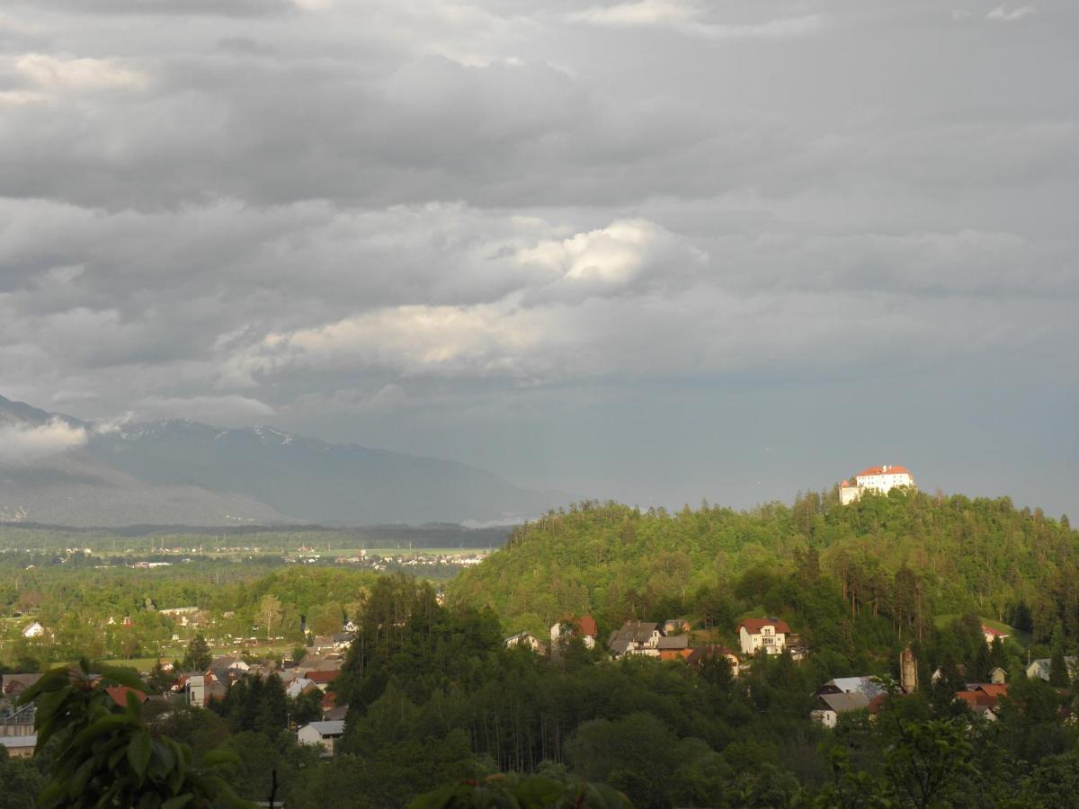 Pr' Hribar Apartment Zgornje Gorje Bagian luar foto