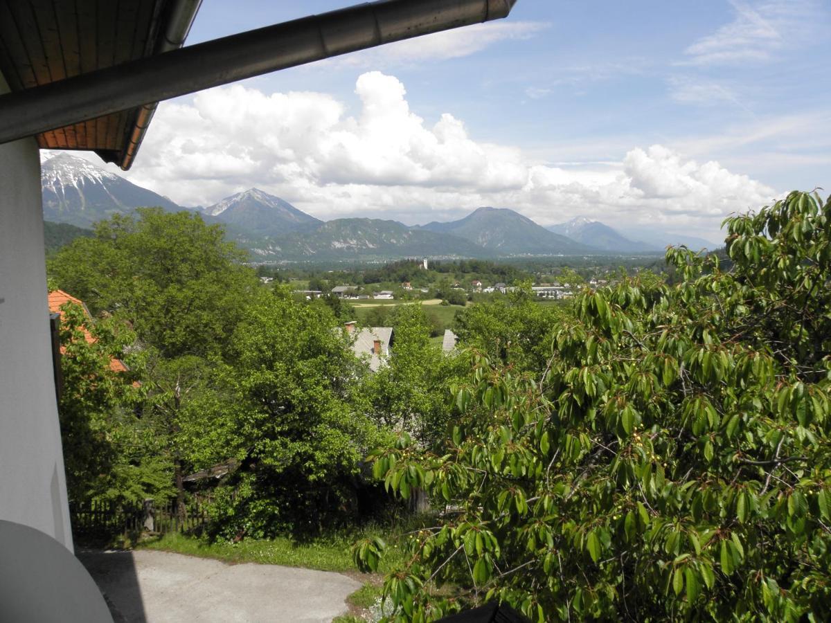 Pr' Hribar Apartment Zgornje Gorje Bagian luar foto